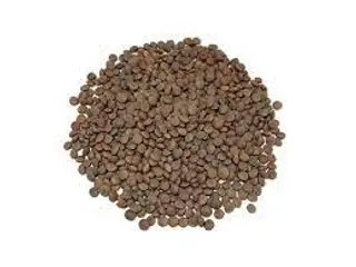 Lenteja Pardina (500 Gr Aprox)