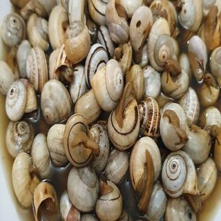 Caracoles (Tarrinas)