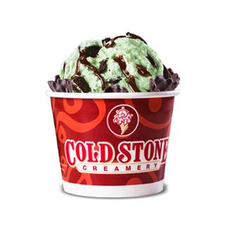 Mint Mint Chocolate Chocolate Chip