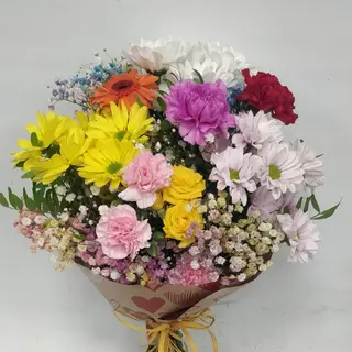 040-FLORES PRIMAVERA