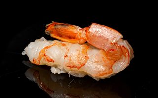 N09. Amaebi - 2 pezzi