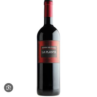 Bot. La Planta Ribera joven 750 ml.