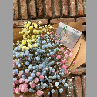 ფერადი გიფსოფილას ტოტი (Small/3ტოტი)