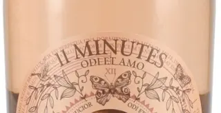 11 Minutes" Rosé Trevenezie Igt