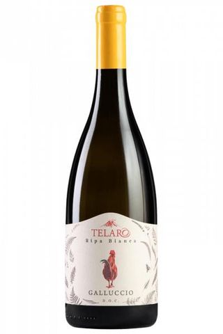 Ripa Bianca – Galluccio Bianco DOC – Cantine Telaro – 12,5% vol.