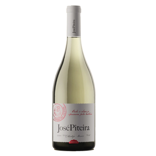 José Piteira