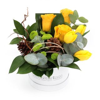 Long Island Cocktail Box