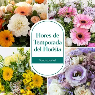 Flores de Temporada – Sorpresa del Día