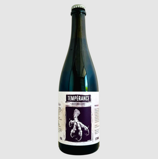 Cerveza Tempérance Philtre Cassis (75 cl.)