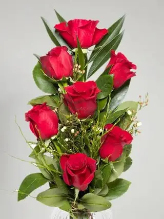 7 Rose rosse cm 50 locali