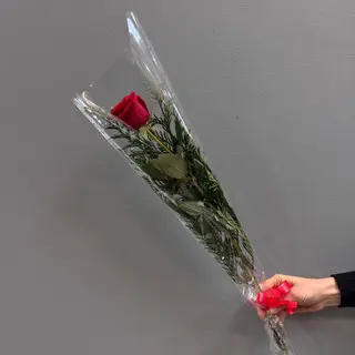 1 rosa roja 