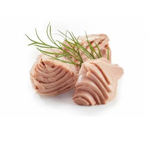 Риба тон (50г)