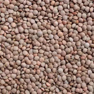 Lenteja Selecta De León 500 Gr