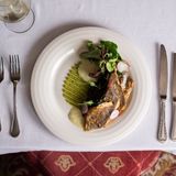 Балканска пъстърва