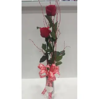 2 Rosas Rojas