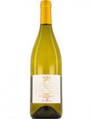 Sole Feteasca Regala Barrique