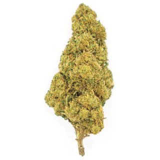 Orange GlassHouse 3Gr