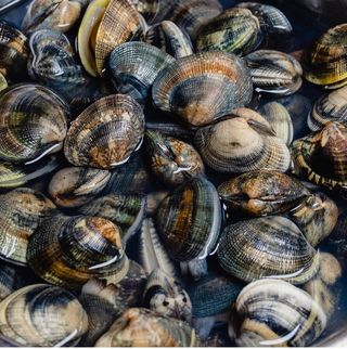 Pasta con vongole veraci