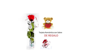 Rosa Roja Eterna 35cm con estuche +Peluche Corazón+Tarjeta  de Regalo