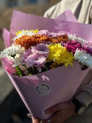 ფერადი ქრიზანთემა (15ტოტი)