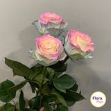 ფერადი ვარდი-სამი ტოტი