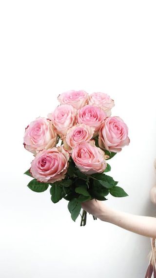 Róże ekwadorskie różowe 9 szt. średniej wysokości