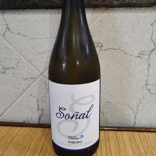 Vino Ribeiro (750 ml.)