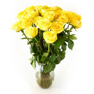 Docena Rosas Amarillas