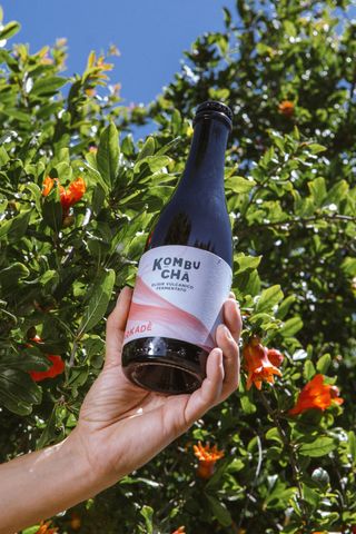 Kombucha Karkade 375ml