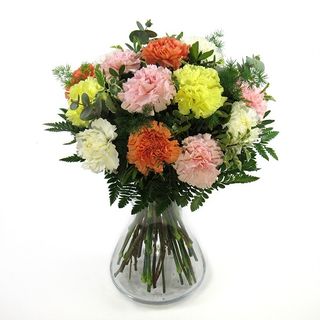 Ramo de claveles surtidos