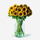 Buchet din 19 floarea-soarelui