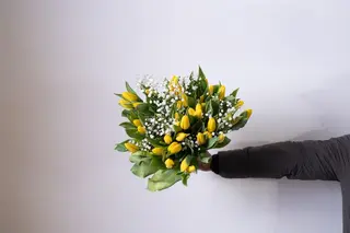 Parma small