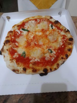 Margherita