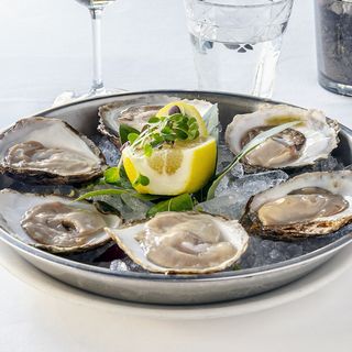 Ostra Plana De La Ría De Arosa