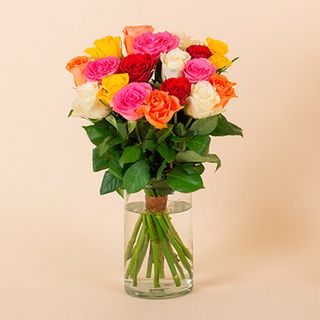 Ramo de Rosas cortas multicolor
