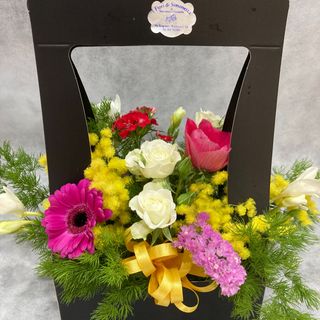 composizione in spugna