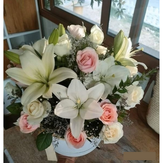 Douceur Printanière