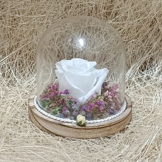 Cúpula com rosa preservada branca