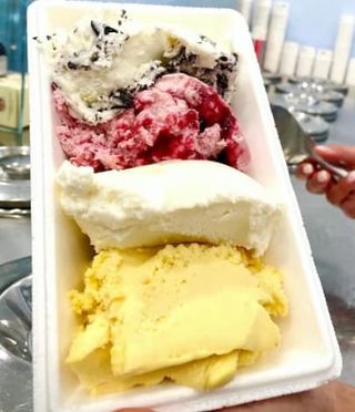 Vaschetta gelato 750 g