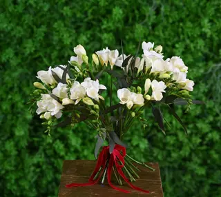 Buchet 25 frezii albe