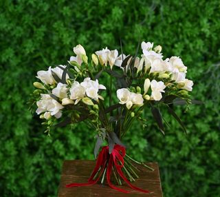 Buchet 25 frezii albe