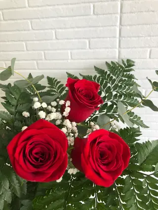 Red 3