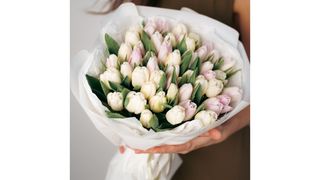 Bukiet 11 jasnoróżowych i białych tulipanów