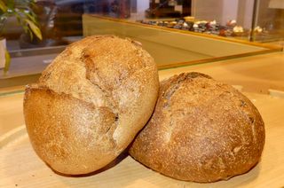 Agro integrala cu nuca