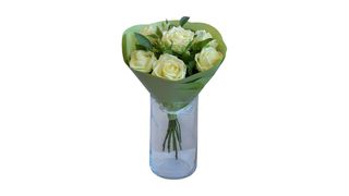 Róże „Subtelne powitanie”