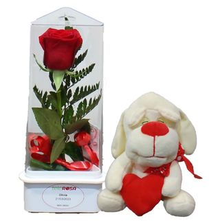 TRYROSA NATURAL & PELUCHE