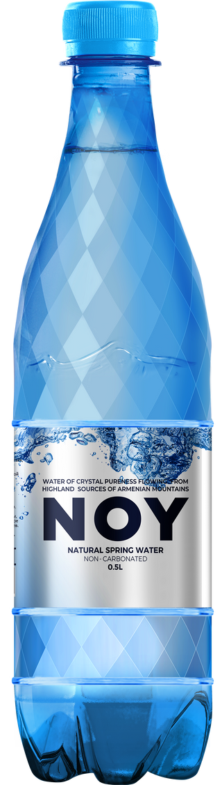 Ջուր Նոյ 0.5լ
