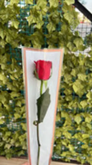 Rose Rouge