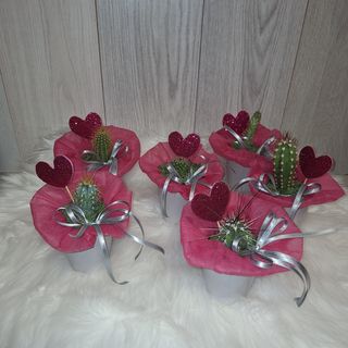 БОДЛИВА ЛЮБОВ