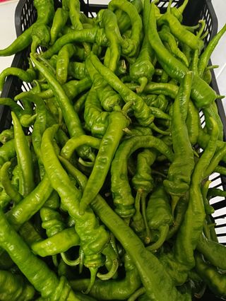 Bandeja de pimientos fritos